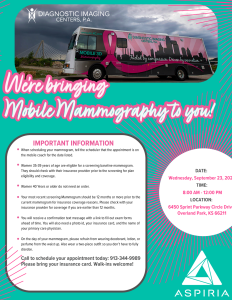 Flyer Flyer